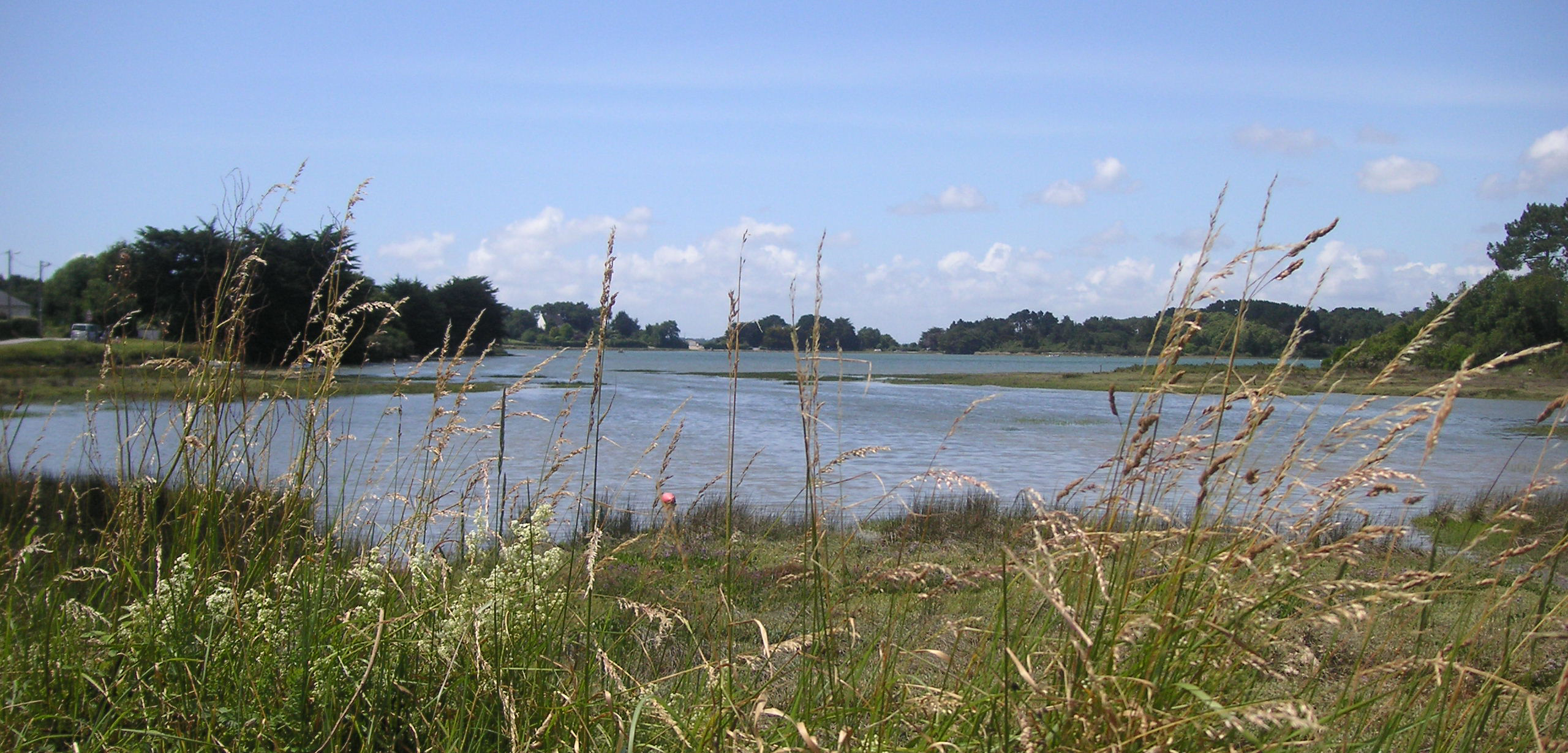 Vue du golfe